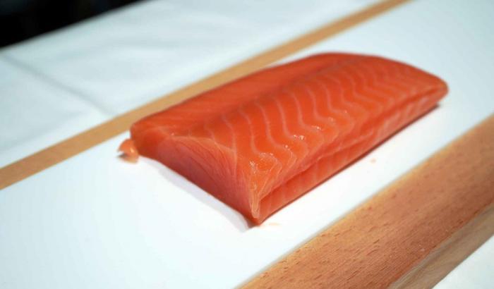 Il Coronavirus viene dai salmoni? Fabrizio Pregliasco spiega la nuova teoria