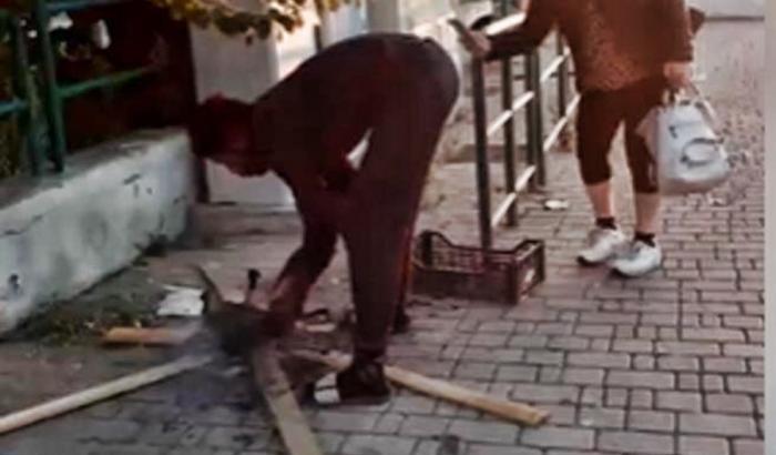 0005721A-l-uomo-che-cucina-un-gatto-per-strada L'uomo che cucina un gatto per strada