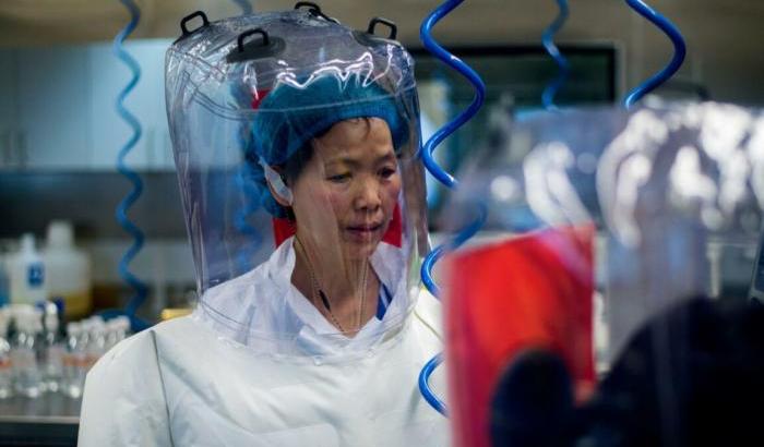 La virologa: "Covid-19 non è nato a Wuhan, Trump dovrebbe scusarsi con la Cina"