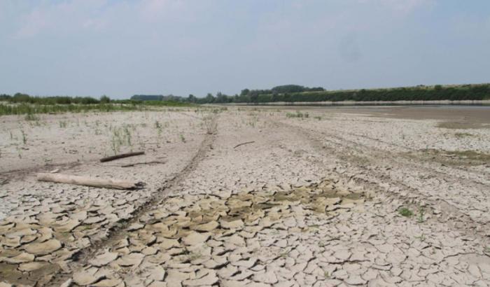 000576D2-colture Colture