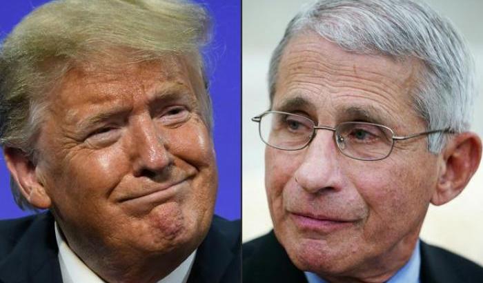 Trump Fauci