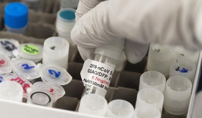 L'Oms: "C'è la speranza che entro fine anno ci possa essere il vaccino"