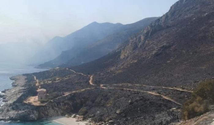 L'orrore degli incendi: la riserva dello Zingaro è stata distrutta dalle fiamme