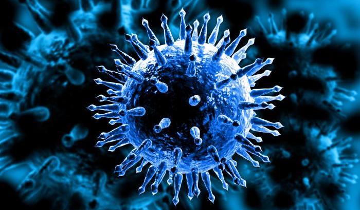 Virus dell'influenza