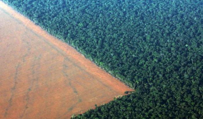 Otto paesi europei (tra cui l'Italia) avvertono in Brasile: "stop deforestazione, o ci saranno gravi conseguenze"