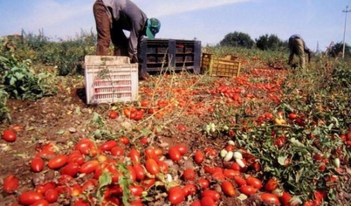 A causa del Covid l'Italia rischia un boom dei lavoratori in nero