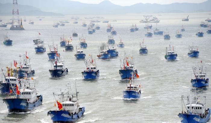 La Cina sta saccheggiando il pesce del Sud America