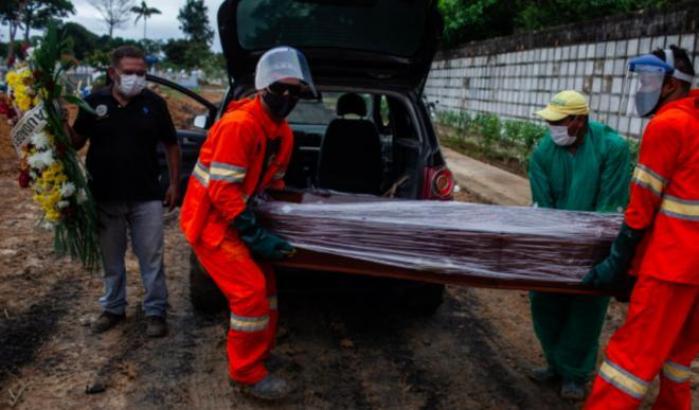 000596CF-variante-brasiliana Variante brasiliana