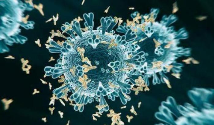 L'immunologo: "La variante brasiliana fa aumentare i contagi perché elude le cellule immunizzanti"