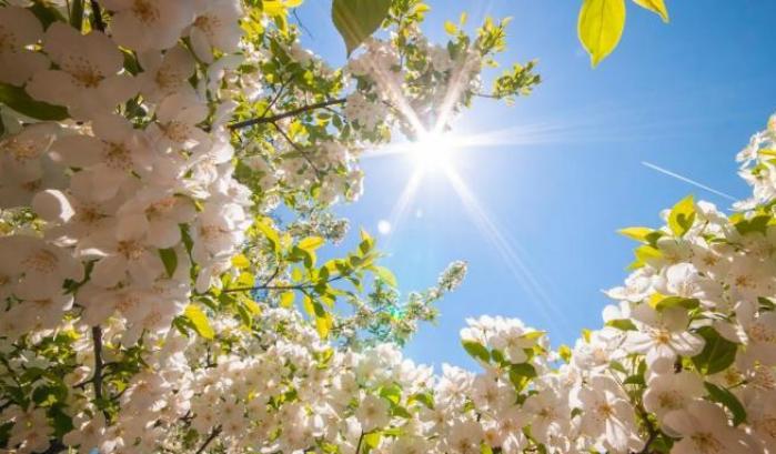 Sogno di primavera su tutto il Paese: nei prossimi giorni aumenteranno le temperature