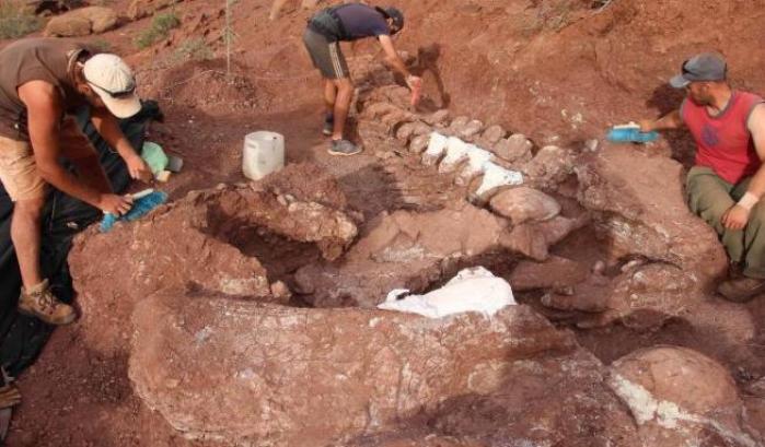 Titanosauro ritrovato in Argentina