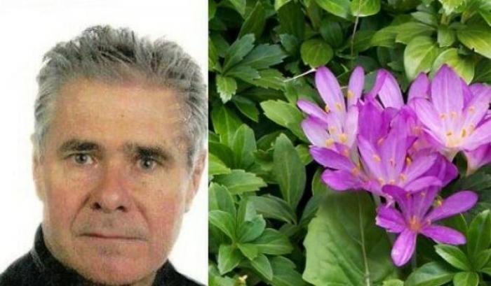 Uomo di 61 anni morto per avvelenamento: aveva scambiato un falso zafferano per aglio