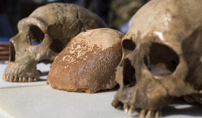 In una grotta del Circeo scoperti i resti di 9 uomini di Neanderthal