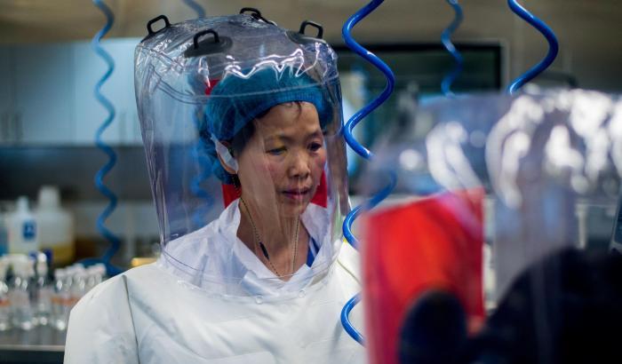 La virologa di Wuhan respinge le accuse sulle origini del virus: "Non so perché si getti fango su uno scienziato innocente"