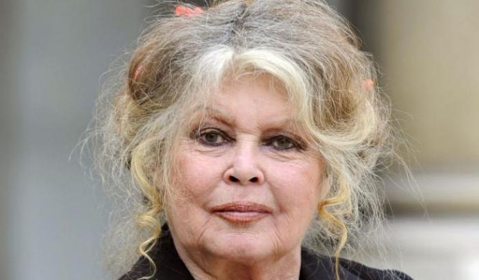 Brigitte Bardot (ora animalista) condannata per gli insulti ai cacciatori