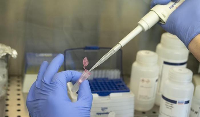 0005BD05-laboratorio Laboratorio