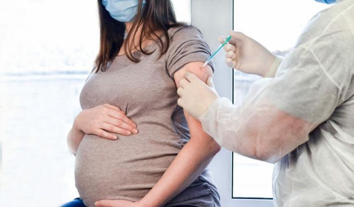 I ginecologi ne sono certi: "Il vaccino anti Covid è sicuro in gravidanza. MRna non passa al feto"