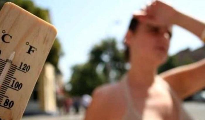 0005C204-caldo Caldo