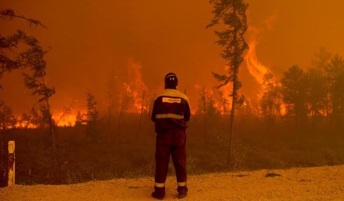 Il preoccupante report del Wwf sugli incendi: "Conseguenze devastanti per la biodiversità"