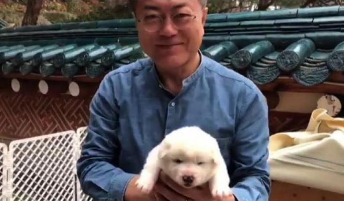 Il presidente sud coreano, Moon Jae-in dice no al consumo della carne di cane