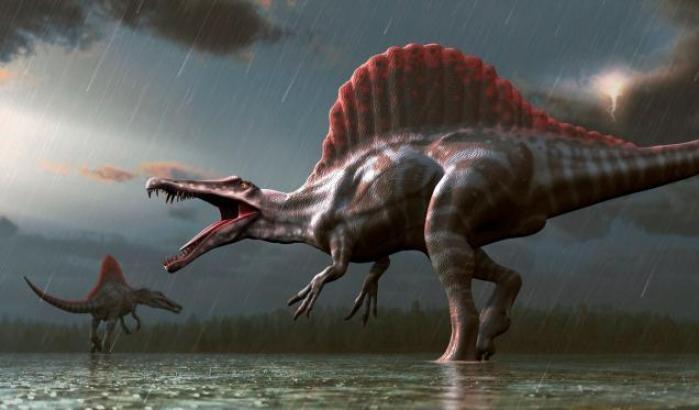 Scoperte due nuove specie di dinosauri sull'Isola di Wight (che facevano molta paura)