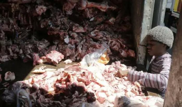 Brasiliani affamati in cerca di cibo fra carcasse di animali: le foto fanno il giro del mondo