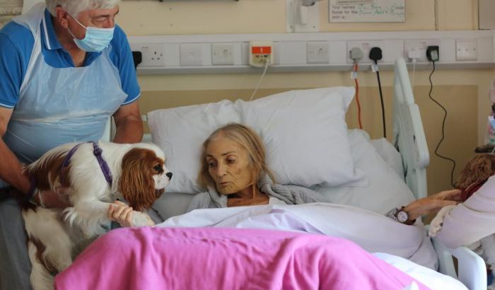 Jan Holman, 68enne malata terminale dice addio ai suoi animali dal letto dell'hospice