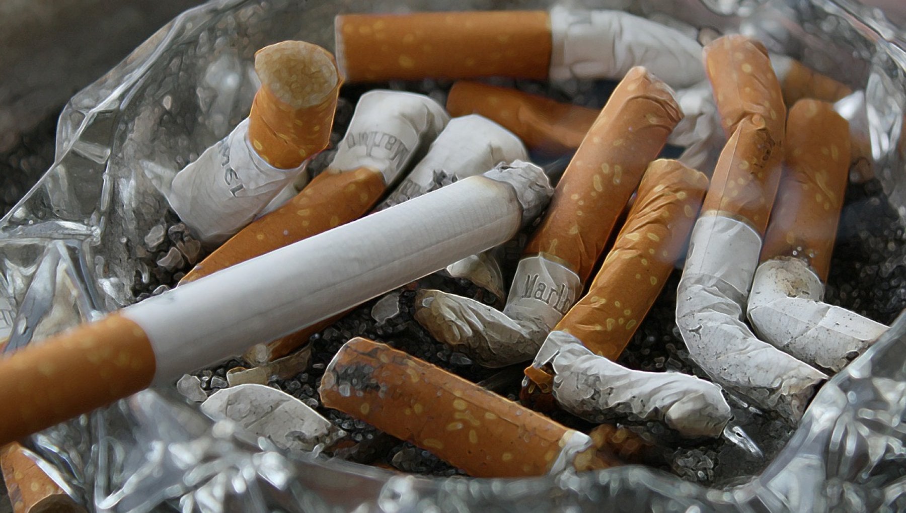 La Nuova Zelanda vuole attuare il piano "smokefree 2025": sigarette vietate ai 14enni