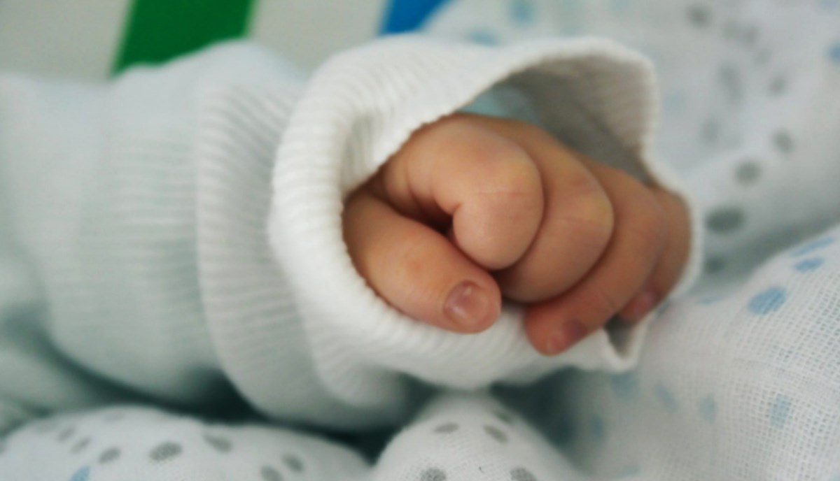 Monza, neonata abbandonata in una scatola: la polizia sulle tracce della madre