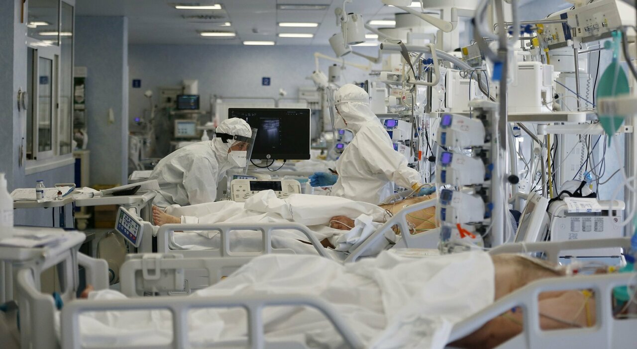 Gimbe lancia l'allarme:"In 7 giorni +16,3% di ricoveri, +13,6% intensive, +12%morti"