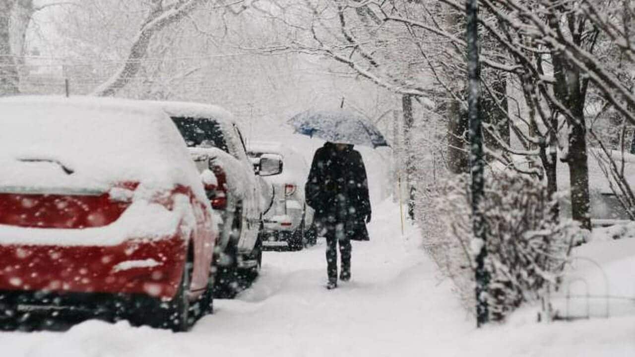 Freddo 'bielorusso' sull'Italia: temperature a picco e neve in pianura, ecco le previsioni delle prossime ore
