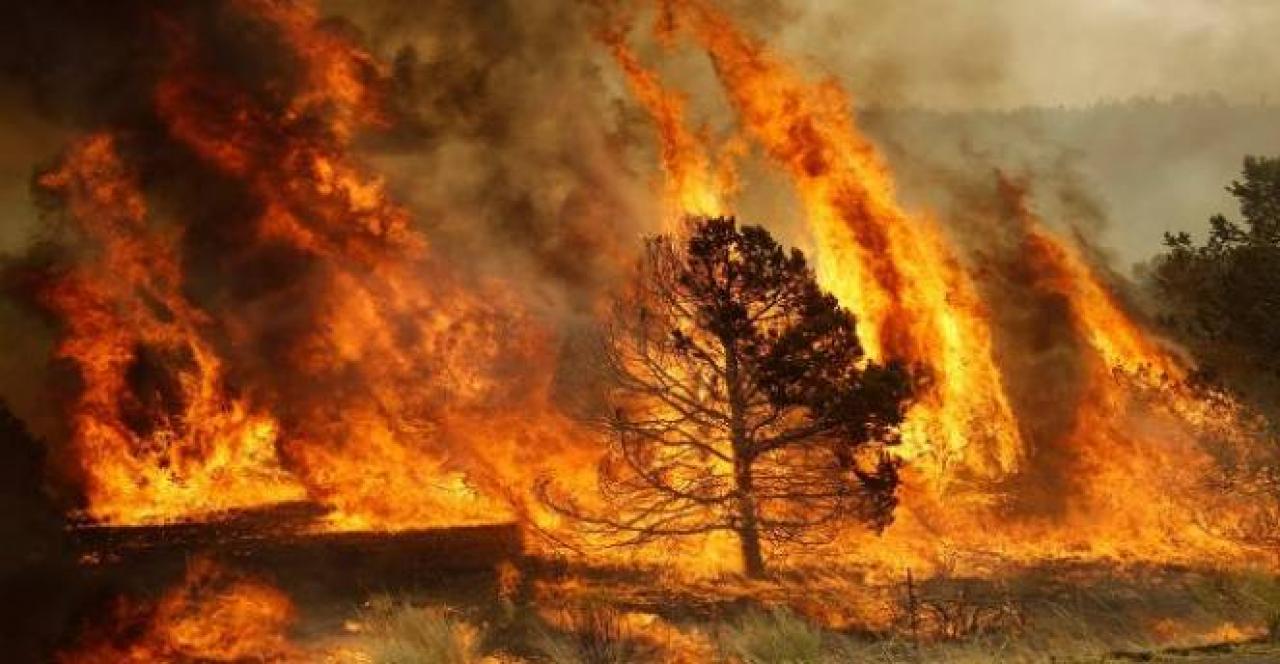 Oltre 600 case distrutte nell'incendio che ha colpito una contea del Colorado: 700 ettari andati in fumo