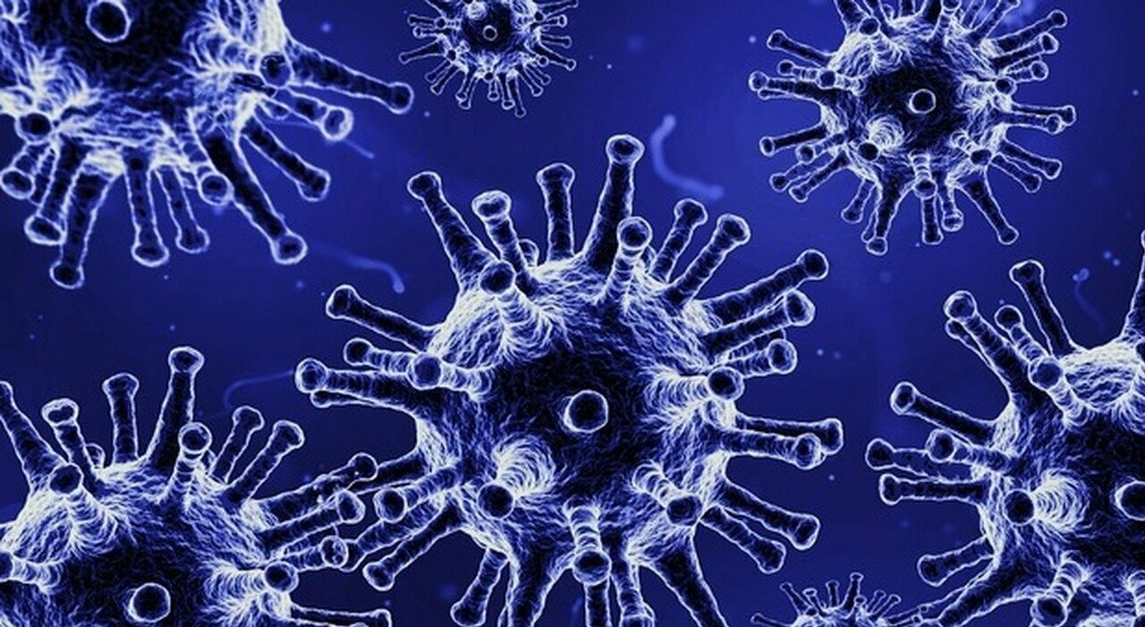 Covid, la variante Omicron segnerà la fine della pandemia? Ecco cosa dicono gli esperti e l'Oms