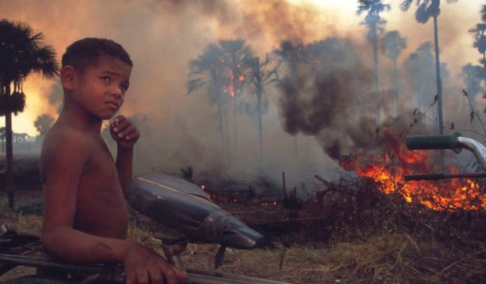 Greenpeace: "Con Bolsonaro la deforestazione dell'Amazzonia cresciuta del 75 per cento"