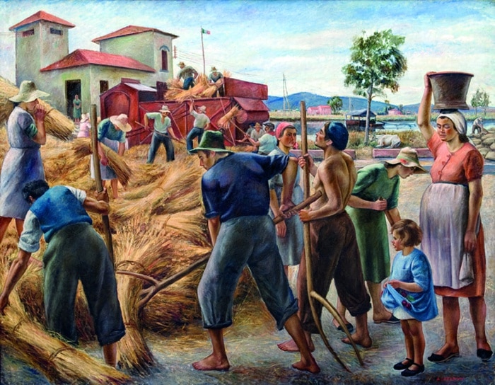 Ritrovato "Il grano della bonifica lucchese" del pittore Alfredo Catarsini