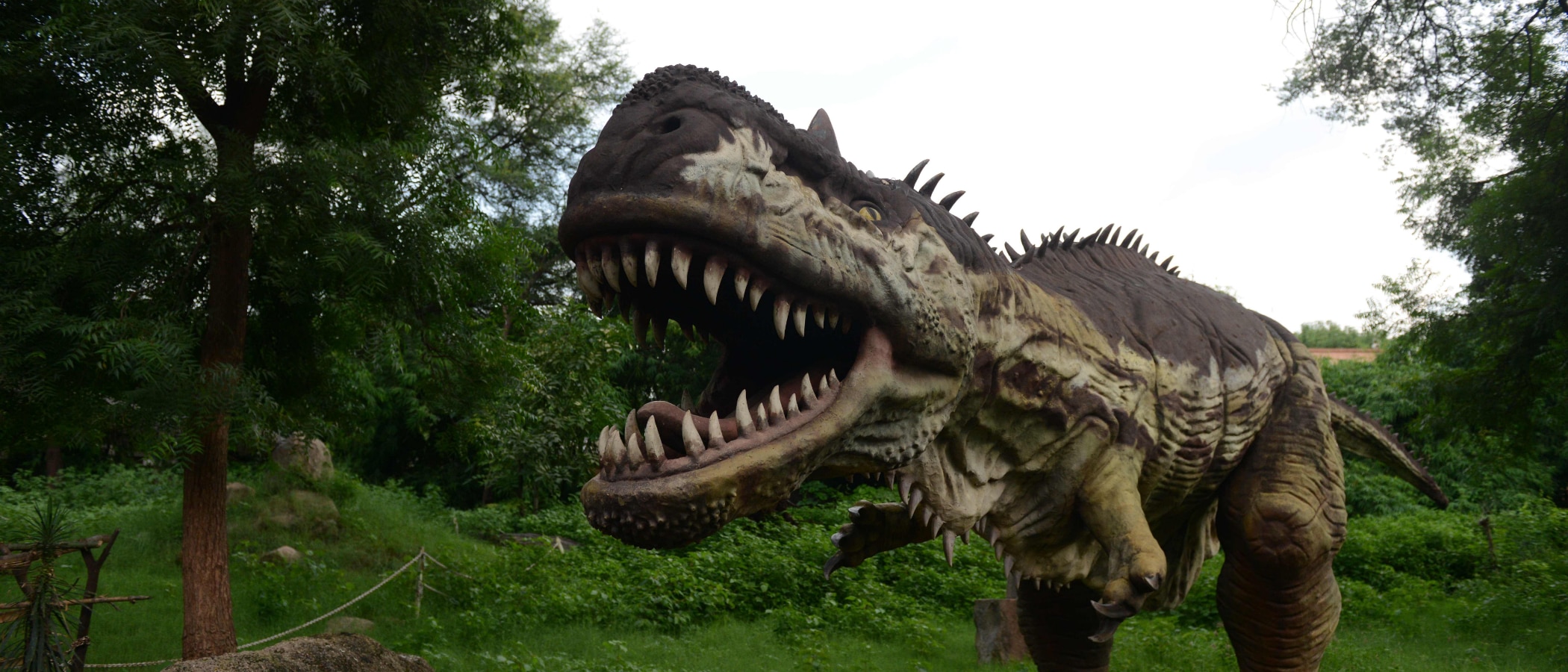 Anche nel mesozoico i dinosauri avevano il mal di gola