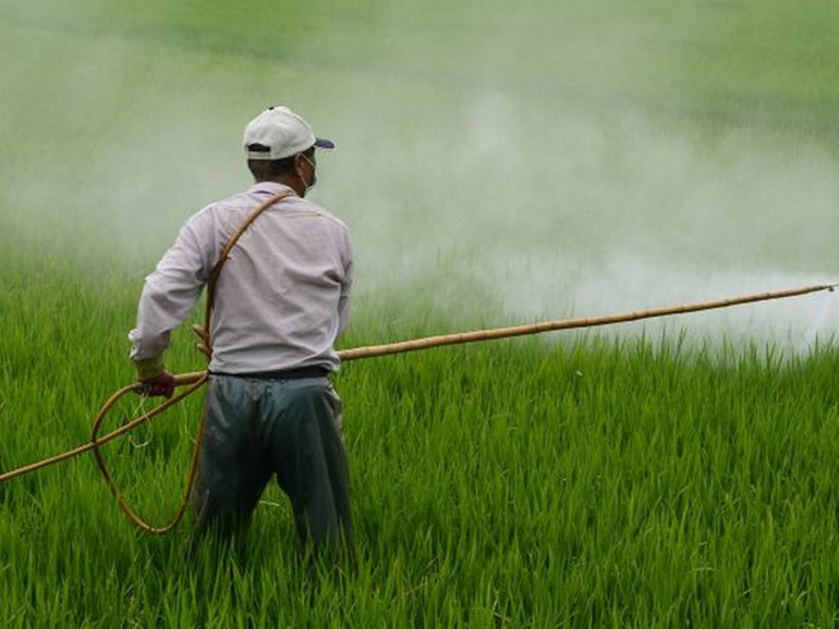 Il Brasile di Bolsonaro contro l’ambiente: approvata una legge che allenta i divieti sui pesticidi