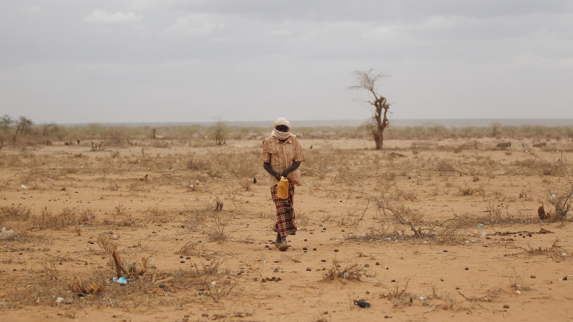 L'Onu lancia l'allarme: circa 13 milioni di persone rischiano di morire di fame nel Corno d'Africa