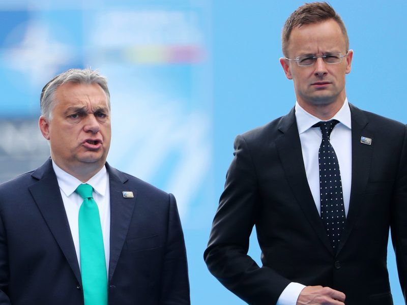 Il governo Orban attacca Zelensky: "Kiev vuole interferire nelle elezioni in Ungheria e appoggiare l'opposizione"