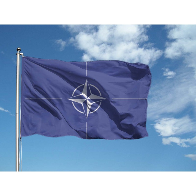 Chi fa parte della Nato? I trenta paesi dell'Alleanza Atlantica