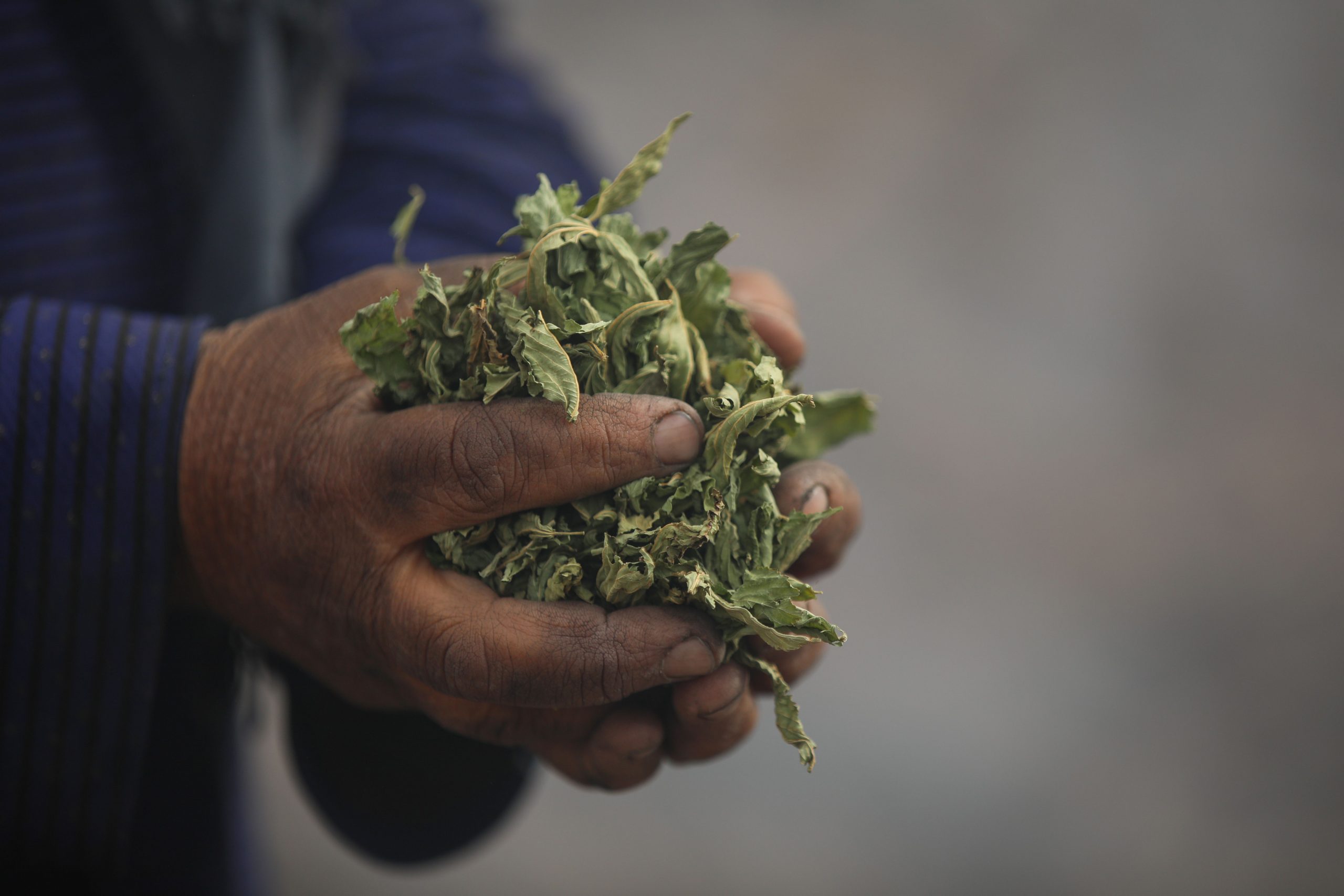 Siria, undici anni dopo: il martirio di un popolo continua Siria, undici anni dopo: il martirio di un popolo continua