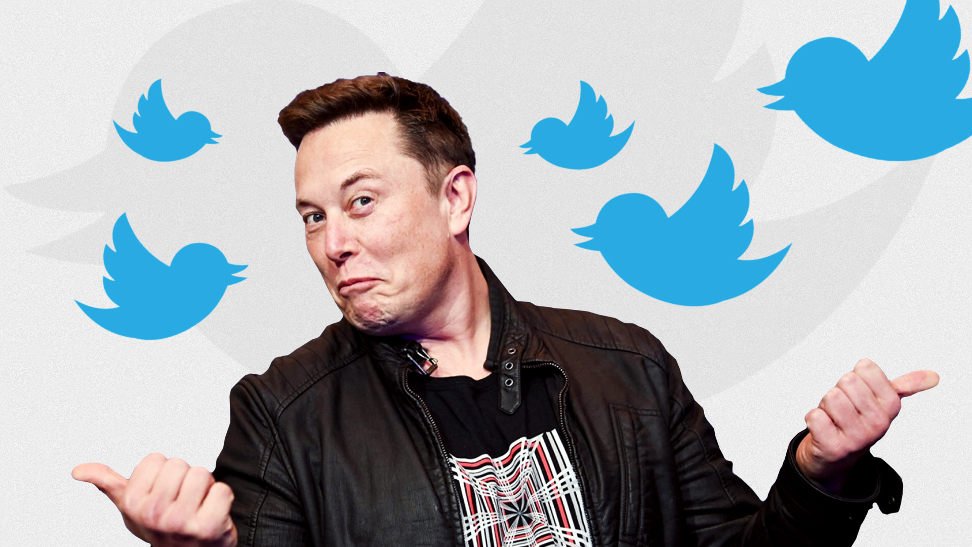 Twitter, post lunghi 1000 caratteri? Ecco l'ultima idea di Elon Musk