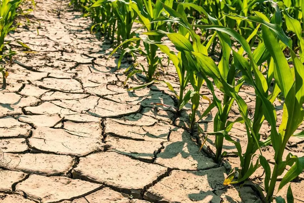 Maltempo, torna la pioggia in Italia ma non è una brutta notizia...