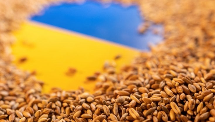 Ucraina, allarme grano: possibile un raccolto dimezzato nel 2022