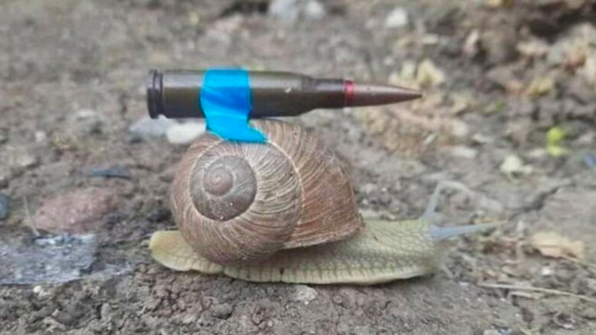 Ucraina, la provocazione di Kiev alla Germania: una foto di una lumaca con un proiettile. "Ecco le armi tedesche"