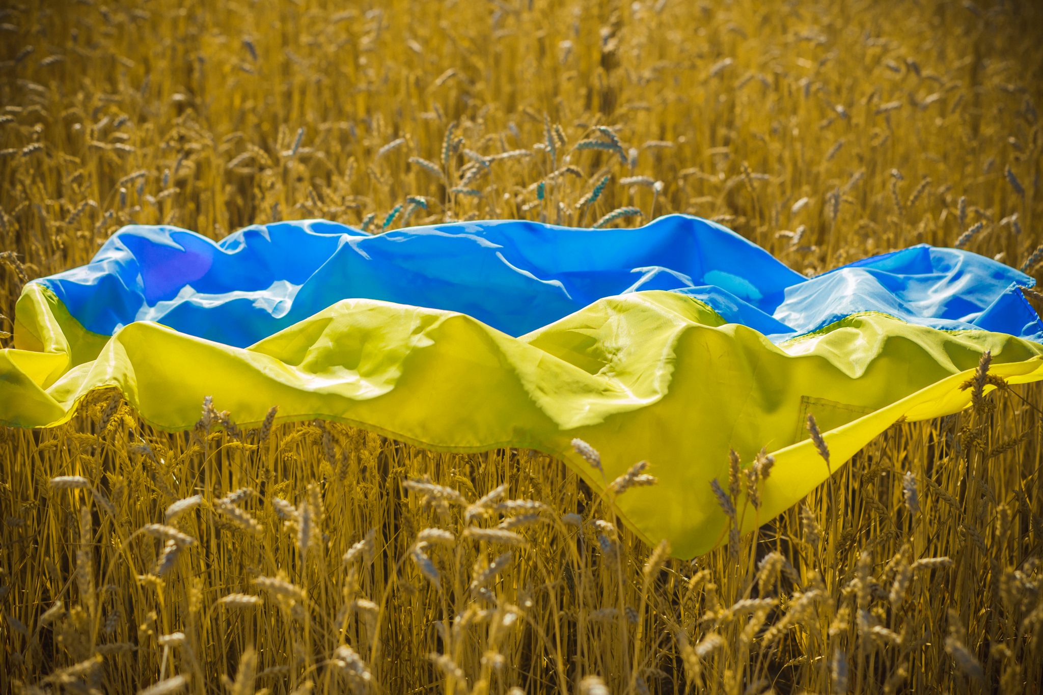 Ucraina, la Germania accusa la Russia: "Ignobile il furto del grano"