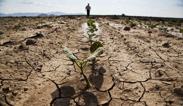 Siccità, una "guerra" ignorata: la denuncia di Oxfam e Save The Children