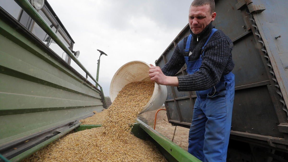 Ucraina, il primo carico di grano è arrivato in Lituania: "Aspettiamo 1500 tonnellate al giorno"