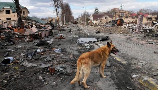Guerra in Ucraina, bombardamenti russi nella regione di Sumy
