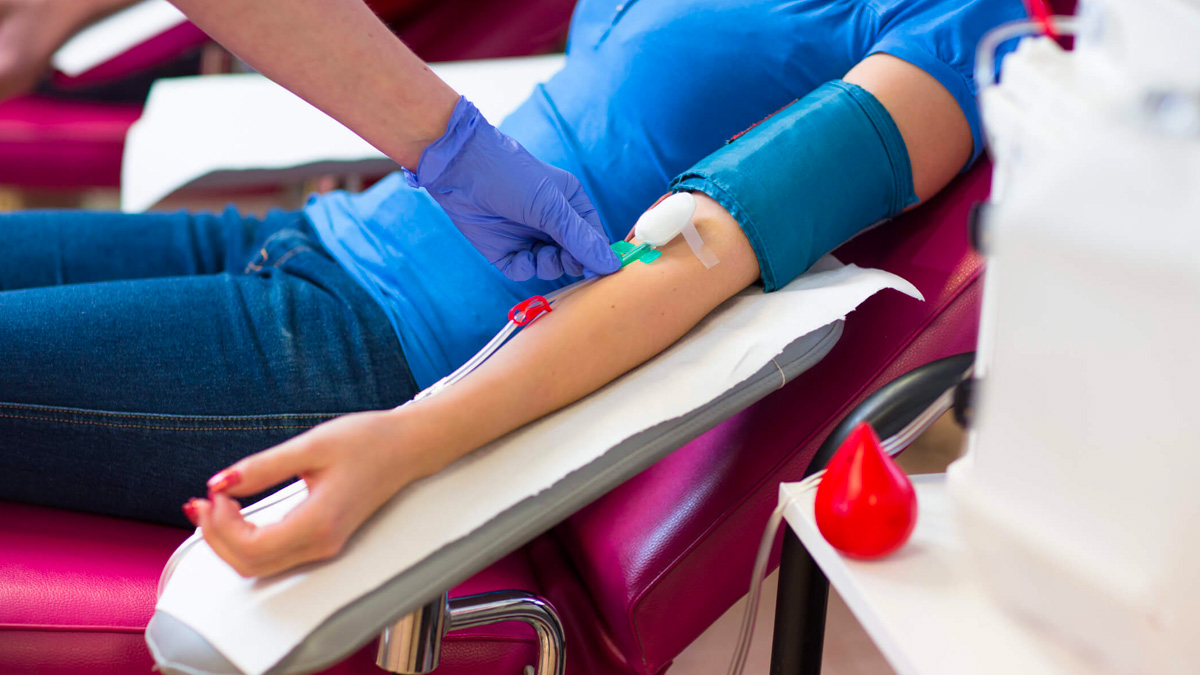 La Croce Rossa e l'appello ai giovani: "Donate il sangue, ce n'è bisogno"